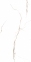 Плитка Asia Pacific Statuario Rich Gold Polished 60х120 см